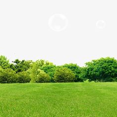 a field with trees in the background and soap bubbles floating over it's grass