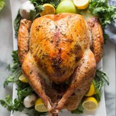 a roasted turkey on a platter with lemons and parsley around the edges