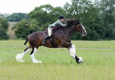 a woman riding on the back of a brown horse in a field next to trees