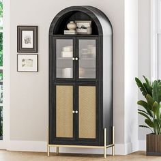 a tall black cabinet with wicker doors in a living room next to a potted plant