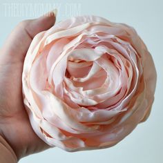 a person holding a pink flower in their left hand with the petals curled up to show it's center