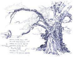 a drawing of a tree that has been drawn by someone's hand and is in the middle of it