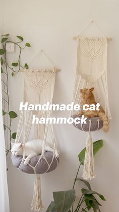 two hammocks with cats sleeping in them