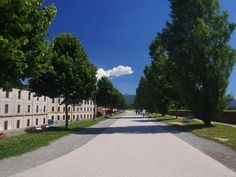 an empty road with trees lining both sides and buildings on either side in the distance