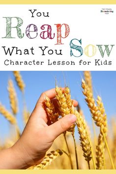 a hand holding wheat in front of a blue sky with the words, you reap what you sow character lesson for kids