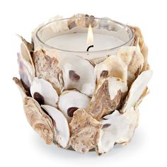 a candle that is sitting in some kind of shell