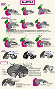 an info sheet showing the different types of aircrafts