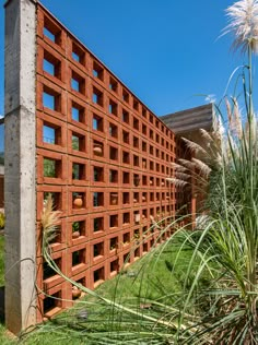 a large brick wall in the middle of a grassy area with tall grass and plants