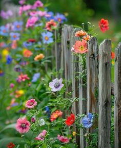 a wooden fence surrounded by colorful flowers