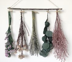 dried flowers hanging from a wooden stick on a wall