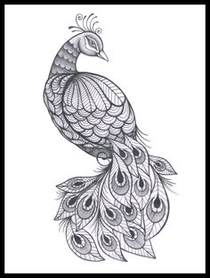 a black and white drawing of a peacock with feathers on it's back legs