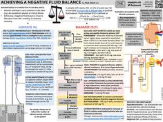 an info sheet describing how to use the machine for measuring fluid in liquids and water