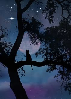 a cat sitting on top of a tree branch under a moon filled sky with stars