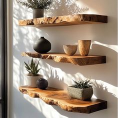 three wooden shelves with plants and vases on them