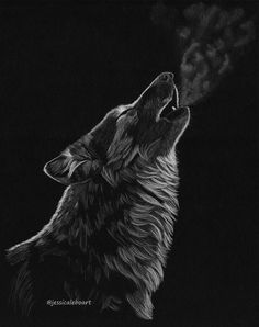 Wolf howling sketch on black paper. White Charcoal Drawing On Black Paper, White On Black Drawing, Fantasy Angel, Wolf Sketch, Pencil Drawings Of Flowers, Bear Drawing