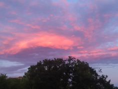 the sky is pink and purple as the sun sets in the distance behind some trees