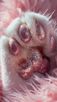 the paw of a cat with pink and silver glitters