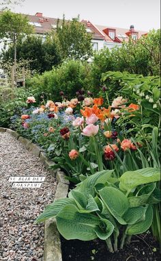 a garden filled with lots of colorful flowers