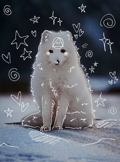 a small white dog sitting on top of a snow covered ground next to stars and hearts