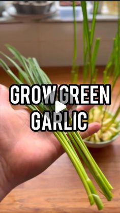 someone is holding some green garlic in their hand with the words grow green garlic on it