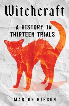 a book cover with an orange cat on it's back and the words witchcraft written