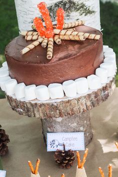 there is a cake on the table with pine cones and candy sticks in front of it