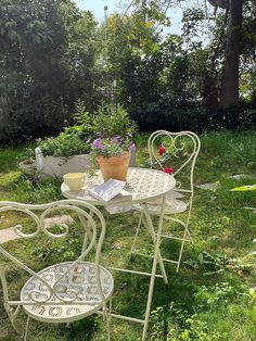 an outdoor table and chair set in the grass with potted plants on each side