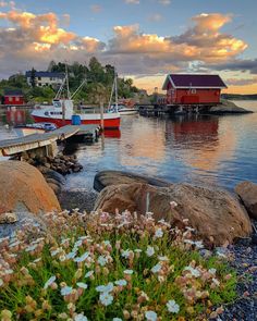 boats are docked at the dock in front of some rocks and water with flowers growing out of it