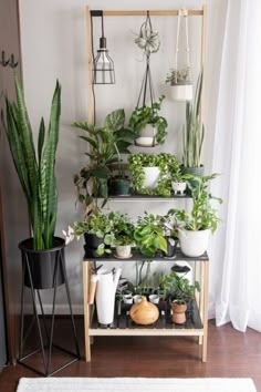 a shelf filled with potted plants next to a window