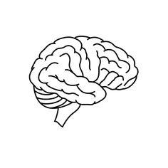 a black and white drawing of a brain