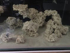 some rocks are on display in a glass case and it looks like they have been made out of rock