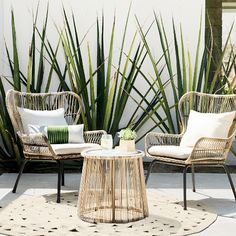 two wicker chairs sitting on top of a rug next to a table and potted plant