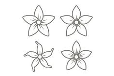 four different flowers that are drawn in line on a white background, each flower has three petals