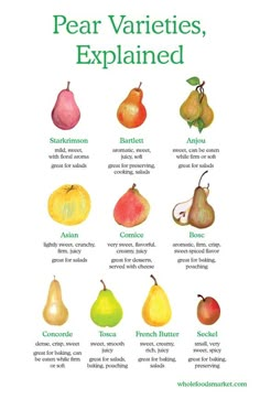 pear varieties are shown in this poster