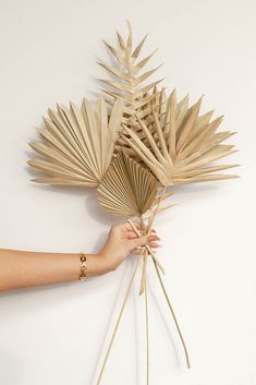 a person holding up a bunch of fake palm leaves on a white wall with their hands