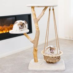 two cats sitting in a tree with a fire place behind them and on the floor