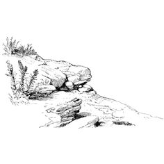 a black and white drawing of rocks on the side of a hill with plants growing out of them