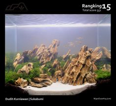 an aquarium with rocks and plants in it