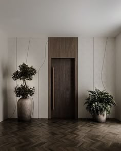 two potted plants sit in front of a door on the wall next to a wooden floor