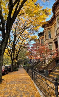 a street lined with parked cars next to tall buildings and trees in the fall colors