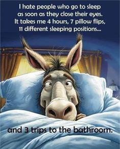 a donkey laying in bed with the caption i hate people who go to sleep as soon as they close their eyes