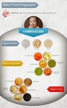 the baby food info sheet is displayed on an iphone screen, and there are several different foods