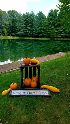 some pumpkins and bananas are on display in front of a pond with a sign