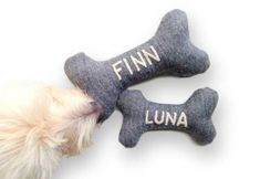 two dogs toys with the words finn and luna written on them, one has a bone in it's mouth