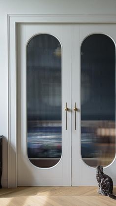 a cat sitting on the floor in front of two doors