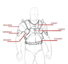 the anatomy of a man's chest and back, with labels on each side