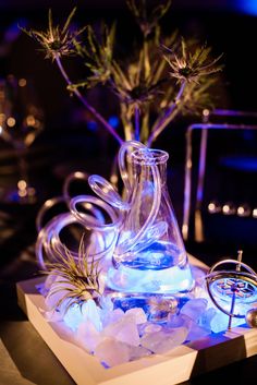 a glass flask filled with water and air plants on top of ice cubes