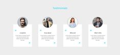 the website design for testimonalis