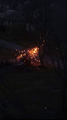 fireworks are lit up in the night sky near some trees and houses with no leaves on them