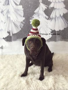 a black dog wearing a knitted christmas hat